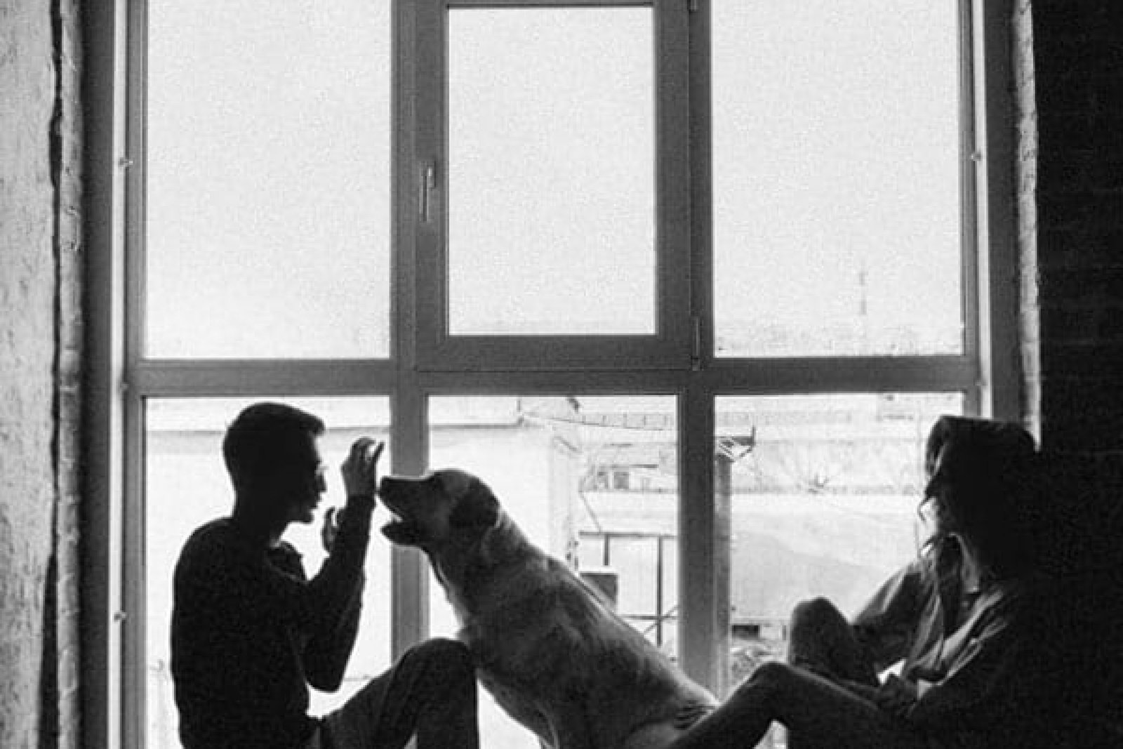 pet-sitting-founder